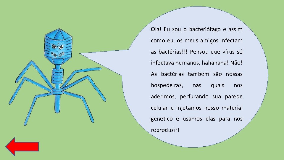 Olá! Eu sou o bacteriófago e assim como eu, os meus amigos infectam as