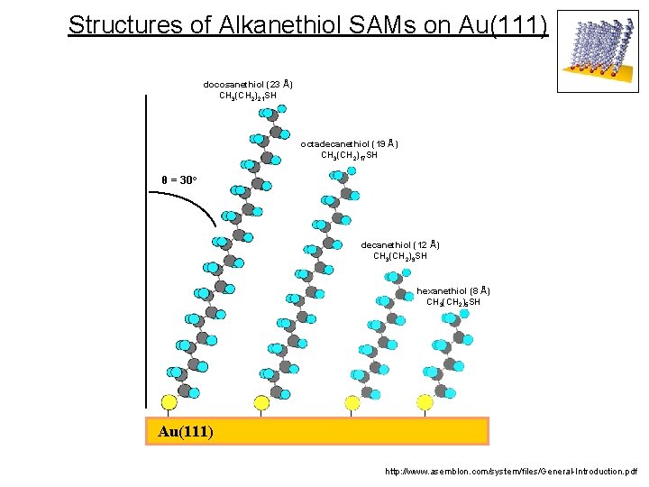 Structures of Alkanethiol SAMs on Au(111) docosanethiol (23 Å) CH 3(CH 2)21 SH octadecanethiol