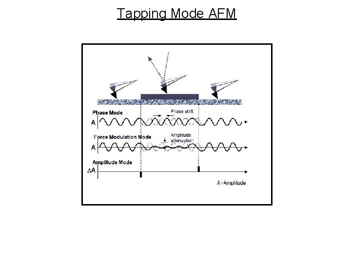 Tapping Mode AFM 