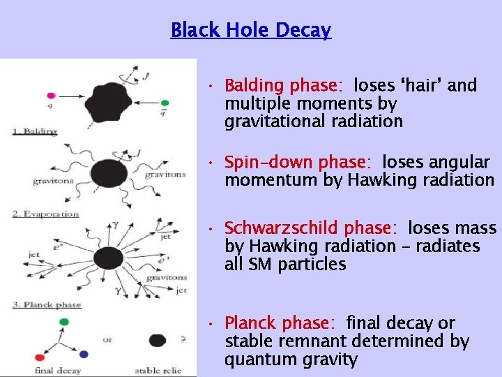 Black Hole Decay • Balding phase: loses ‘hair’ and multiple moments by gravitational radiation
