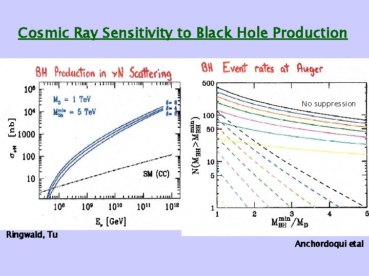 Cosmic Ray Sensitivity to Black Hole Production No suppression Ringwald, Tu Anchordoqui etal 
