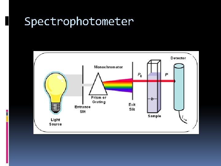 Spectrophotometer 