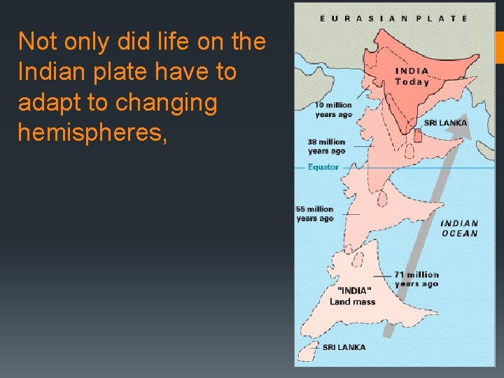 Not only did life on the Indian plate have to adapt to changing hemispheres,