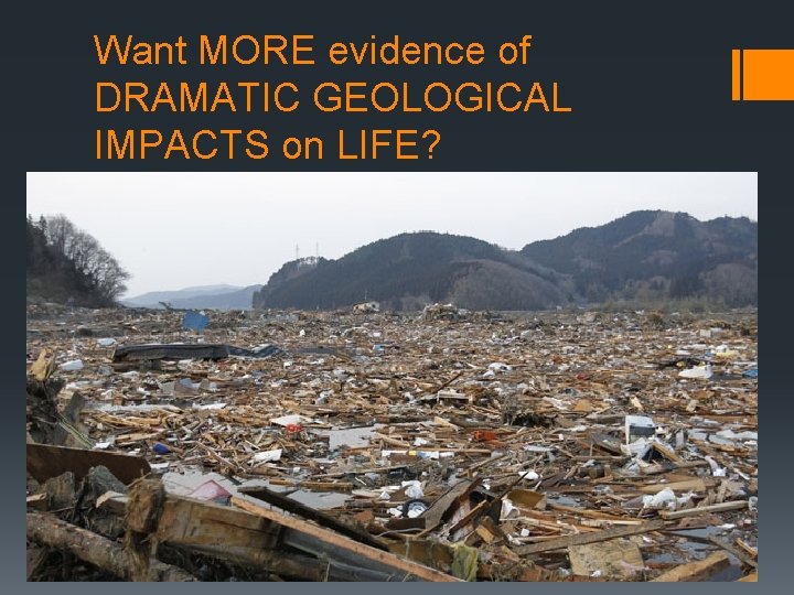 Want MORE evidence of DRAMATIC GEOLOGICAL IMPACTS on LIFE? § nutria 