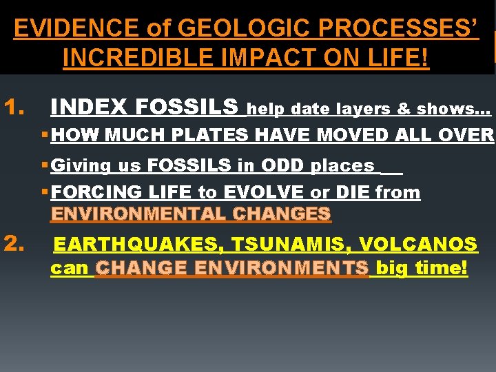 EVIDENCE of GEOLOGIC PROCESSES’ INCREDIBLE IMPACT ON LIFE! 1. INDEX FOSSILS help date layers