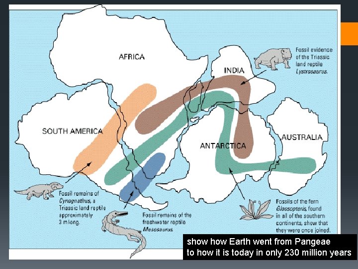 show Earth went from Pangeae to how it is today in only 230 million