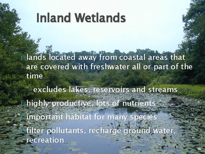 Inland Wetlands � lands located away from coastal areas that are covered with freshwater