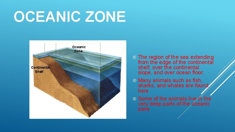 OCEANIC ZONE Oceanic Zone The region of the sea extending from the edge of