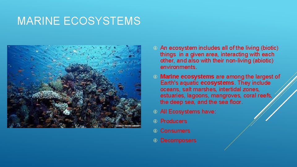 MARINE ECOSYSTEMS An ecosystem includes all of the living (biotic) things in a given
