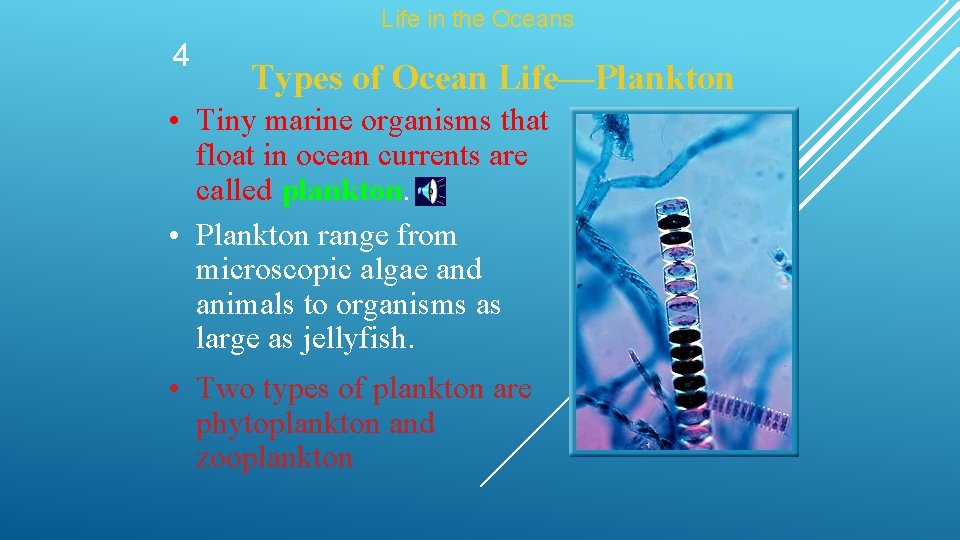 Life in the Oceans 4 Types of Ocean Life—Plankton • Tiny marine organisms that