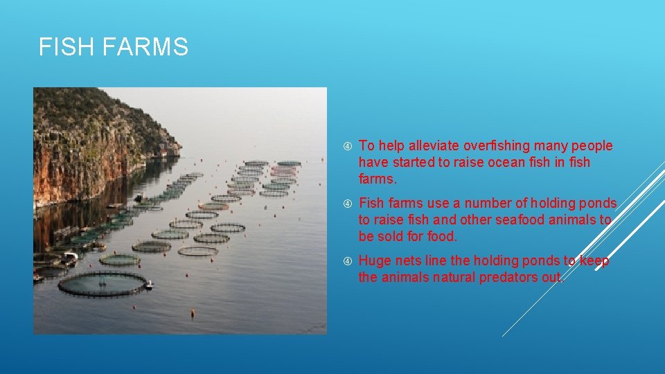 FISH FARMS To help alleviate overfishing many people have started to raise ocean fish