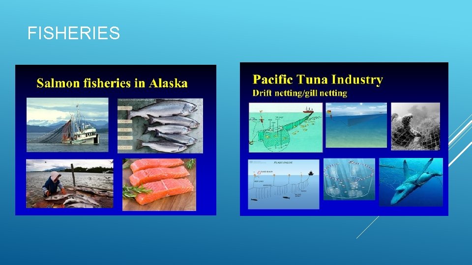 FISHERIES 