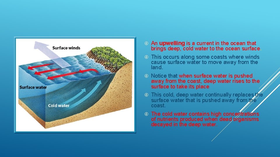  An upwelling is a current in the ocean that brings deep, cold water