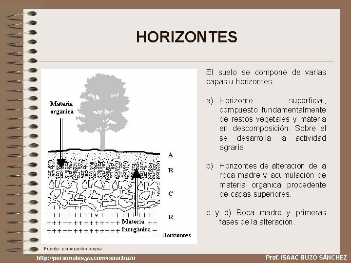 HORIZONTES El suelo se compone de varias capas u horizontes: a) Horizonte superficial, compuesto
