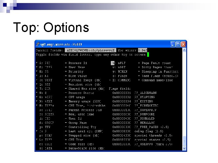 Top: Options 