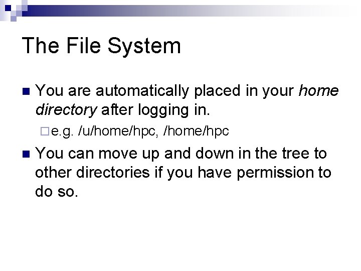 The File System n You are automatically placed in your home directory after logging