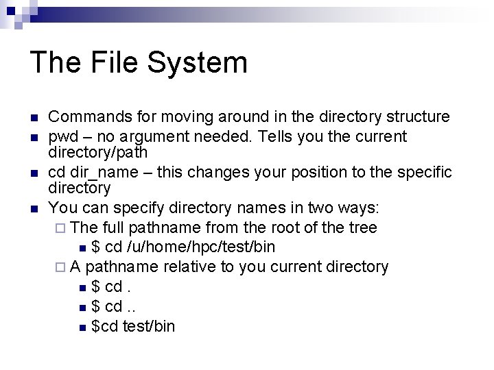 The File System n n Commands for moving around in the directory structure pwd