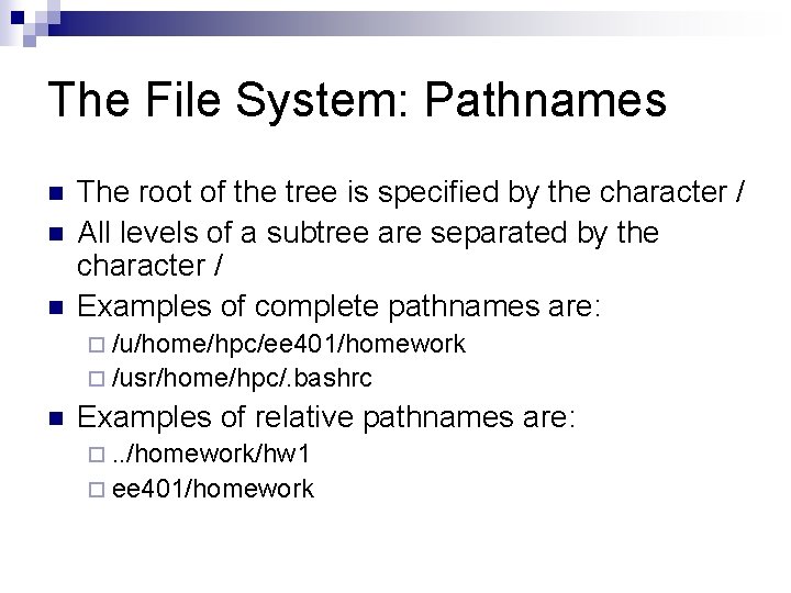 The File System: Pathnames n n n The root of the tree is specified