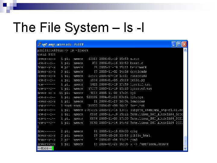 The File System – ls -l 