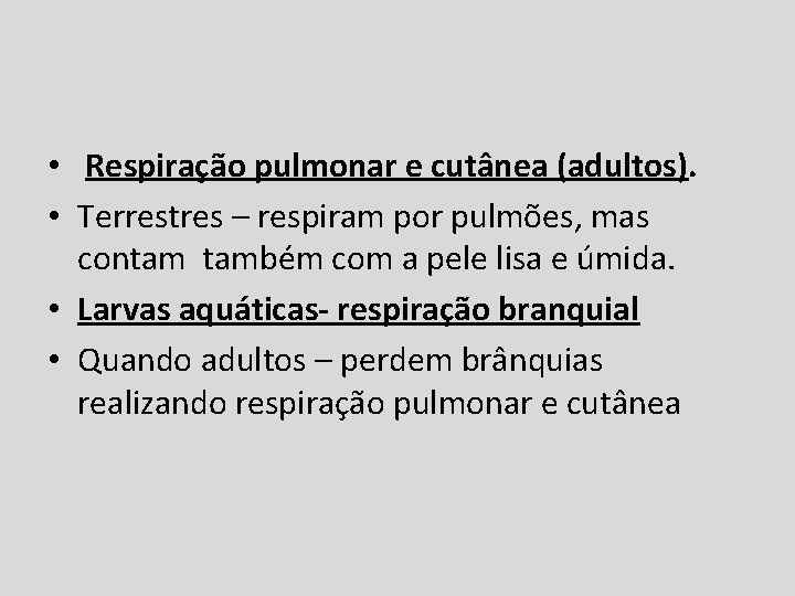  • Respiração pulmonar e cutânea (adultos). • Terrestres – respiram por pulmões, mas