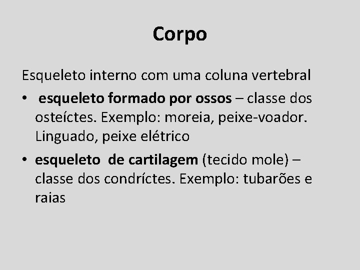 Corpo Esqueleto interno com uma coluna vertebral • esqueleto formado por ossos – classe