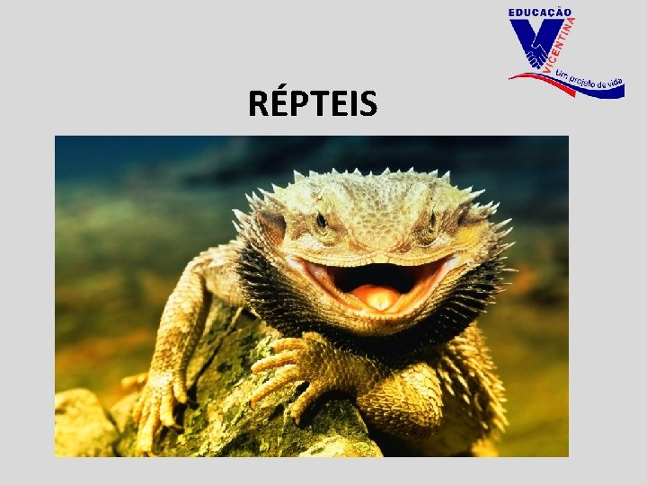 RÉPTEIS 