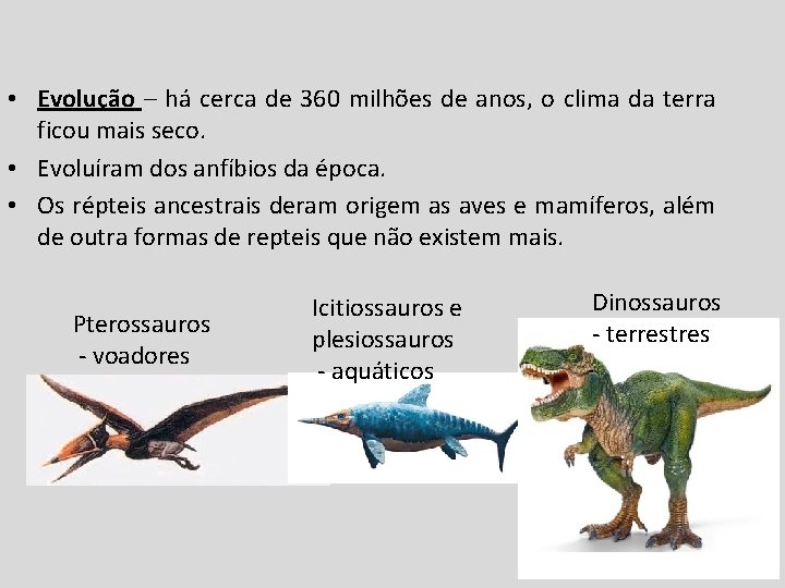  • Evolução – há cerca de 360 milhões de anos, o clima da