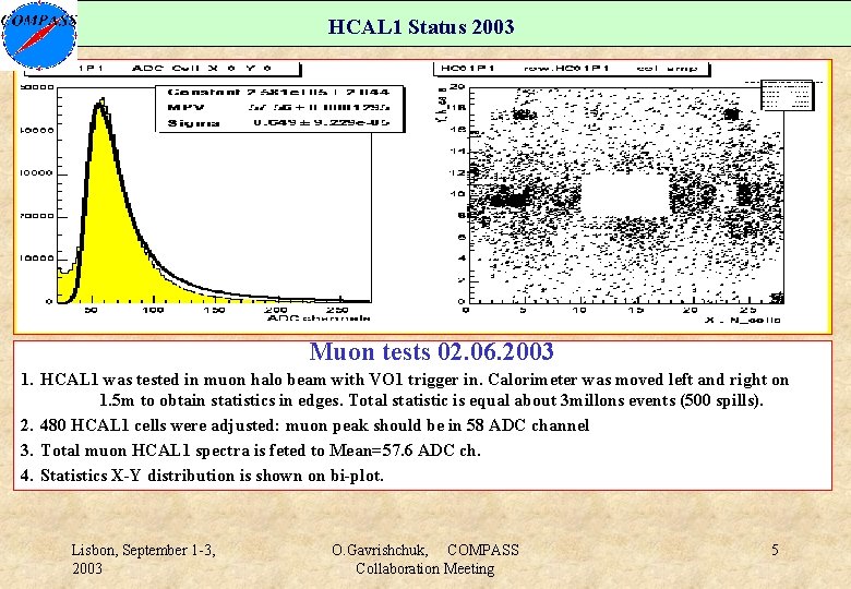 HCAL 1 Status 2003 Muon tests 02. 06. 2003 1. HCAL 1 was tested