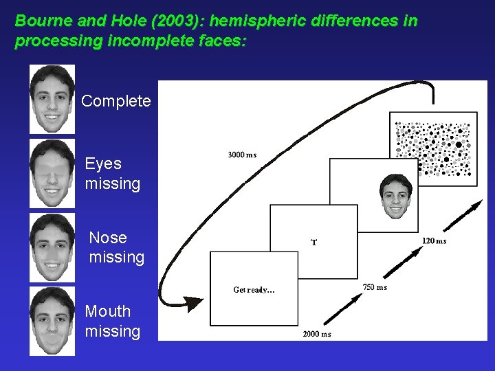 Bourne and Hole (2003): hemispheric differences in processing incomplete faces: Complete Eyes missing Nose