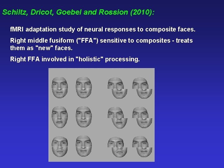 Schiltz, Dricot, Goebel and Rossion (2010): f. MRI adaptation study of neural responses to