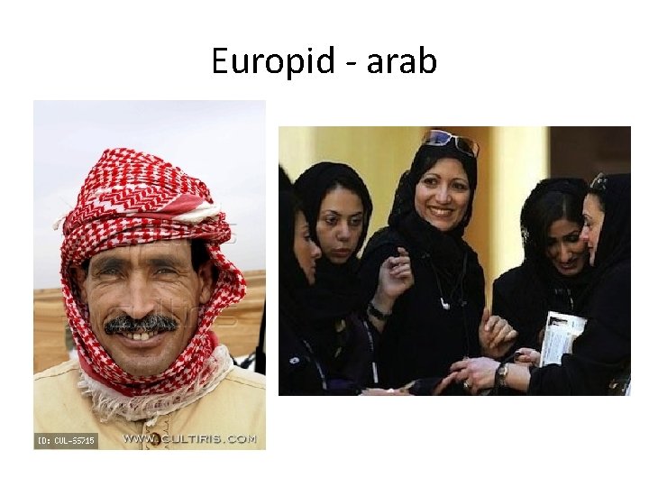 Europid - arab 