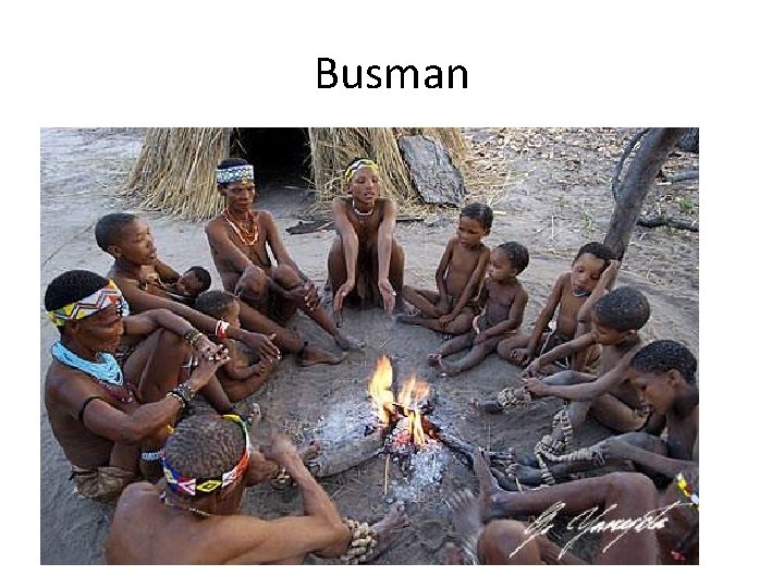 Busman 