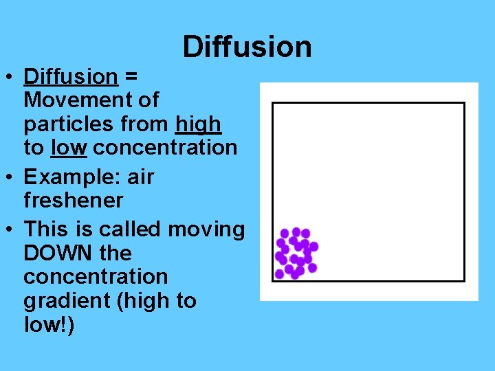 Diffusion • Diffusion = Movement of particles from high to low concentration • Example: