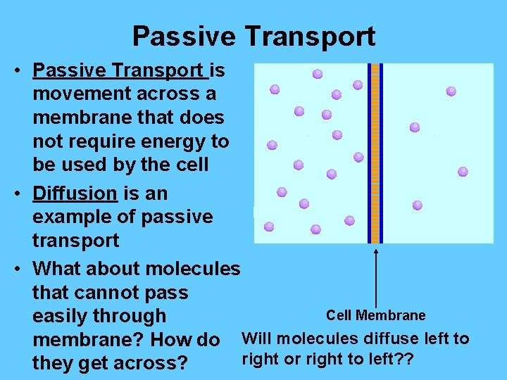 Passive Transport • Passive Transport is movement across a membrane that does not require