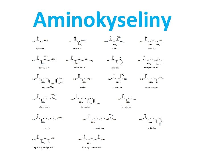 Aminokyseliny 