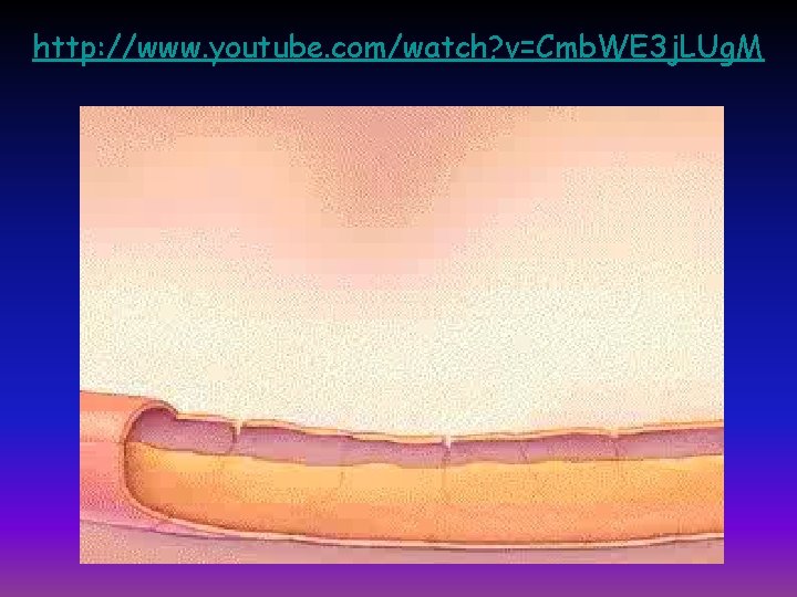 http: //www. youtube. com/watch? v=Cmb. WE 3 j. LUg. M 