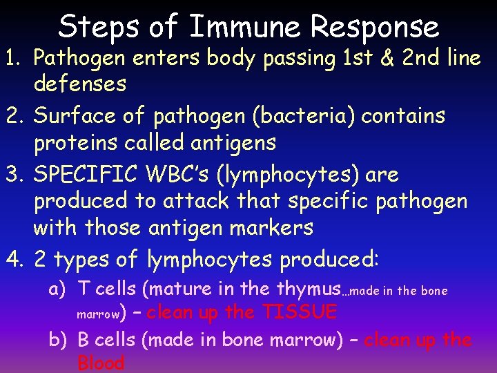 Steps of Immune Response 1. Pathogen enters body passing 1 st & 2 nd