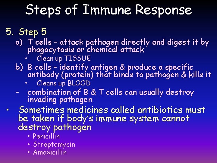 Steps of Immune Response 5. Step 5 a) T cells – attack pathogen directly