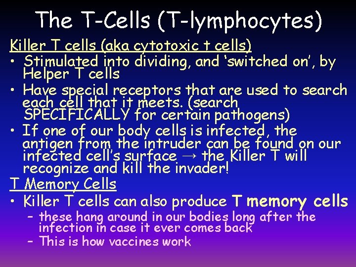 The T-Cells (T-lymphocytes) Killer T cells (aka cytotoxic t cells) • Stimulated into dividing,