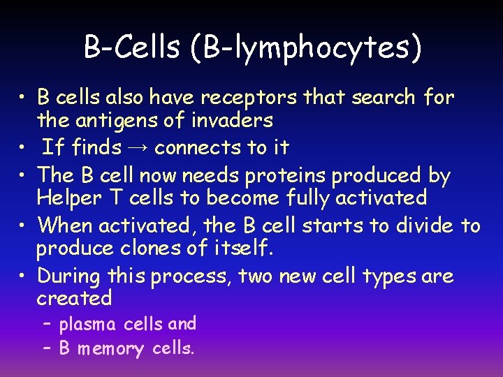 B-Cells (B-lymphocytes) • B cells also have receptors that search for the antigens of