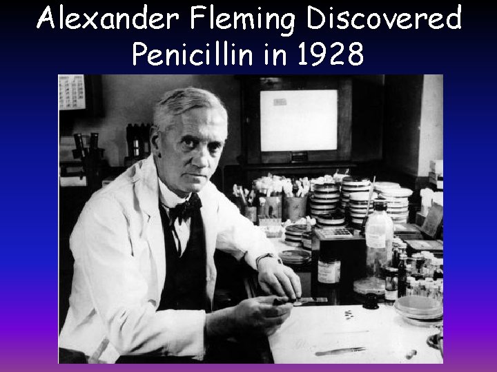 Alexander Fleming Discovered Penicillin in 1928 