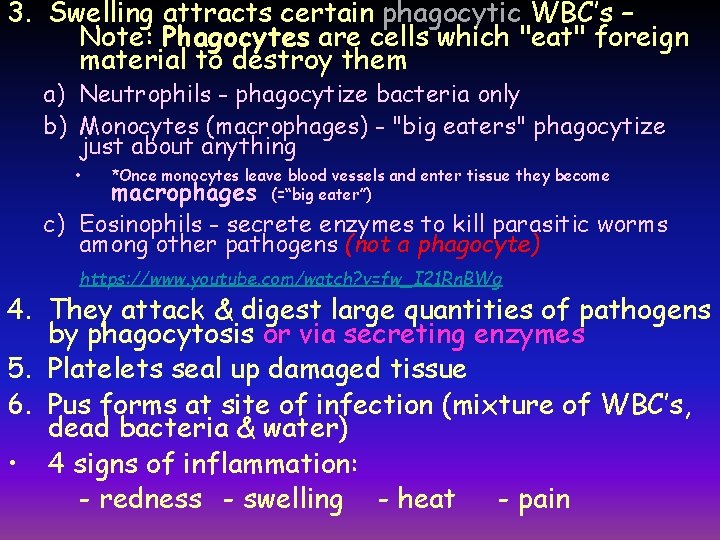 3. Swelling attracts certain phagocytic WBC’s – Note: Phagocytes are cells which "eat" foreign