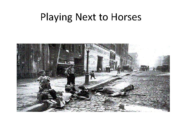 Playing Next to Horses 