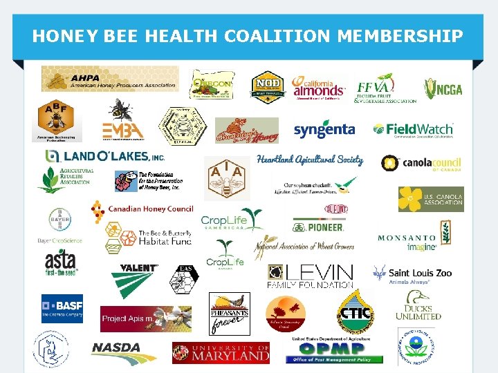 HONEY BEE HEALTH COALITION MEMBERSHIP 