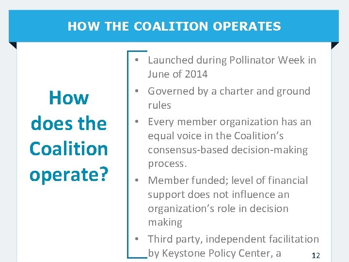 HOW THE COALITION OPERATES How does the Coalition operate? • Launched during Pollinator Week