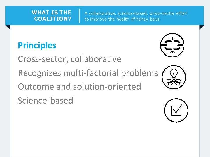 WHAT IS THE COALITION? A collaborative, science-based, cross-sector effort to improve the health of