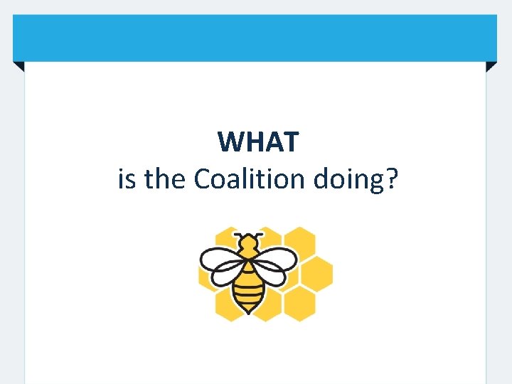 WHAT is the Coalition doing? 