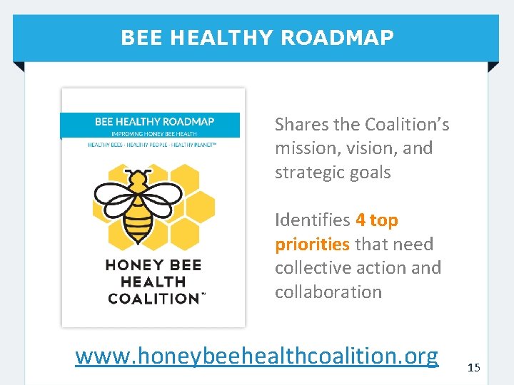 BEE HEALTHY ROADMAP Shares the Coalition’s mission, vision, and strategic goals Identifies 4 top