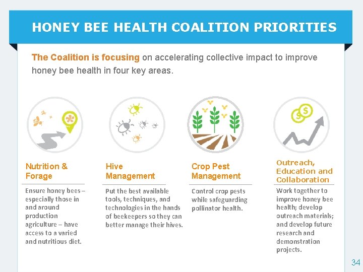 HONEY BEE HEALTH COALITION PRIORITIES The Coalition is focusing on accelerating collective impact to