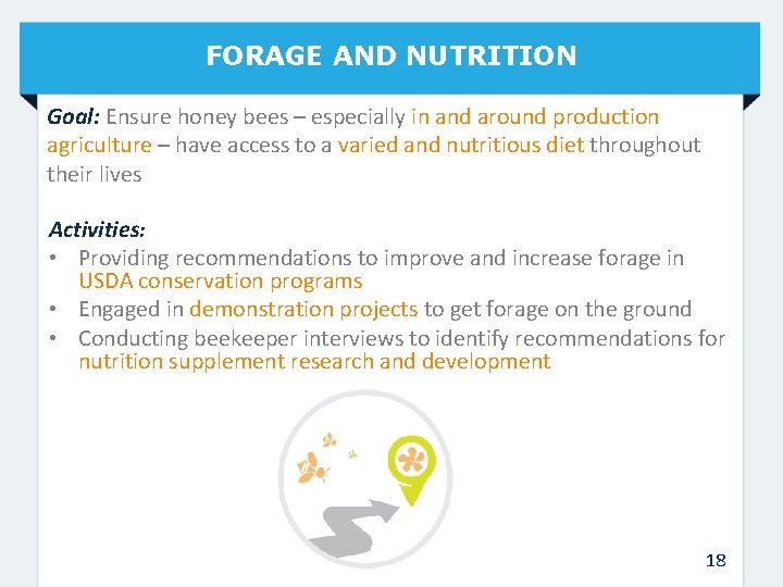 FORAGE AND NUTRITION Goal: Ensure honey bees – especially in and around production agriculture